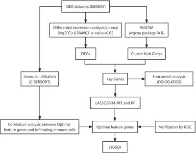 Identification of optimal feature genes in patients with thyroid associated ophthalmopathy and their relationship with immune infiltration: a bioinformatics analysis